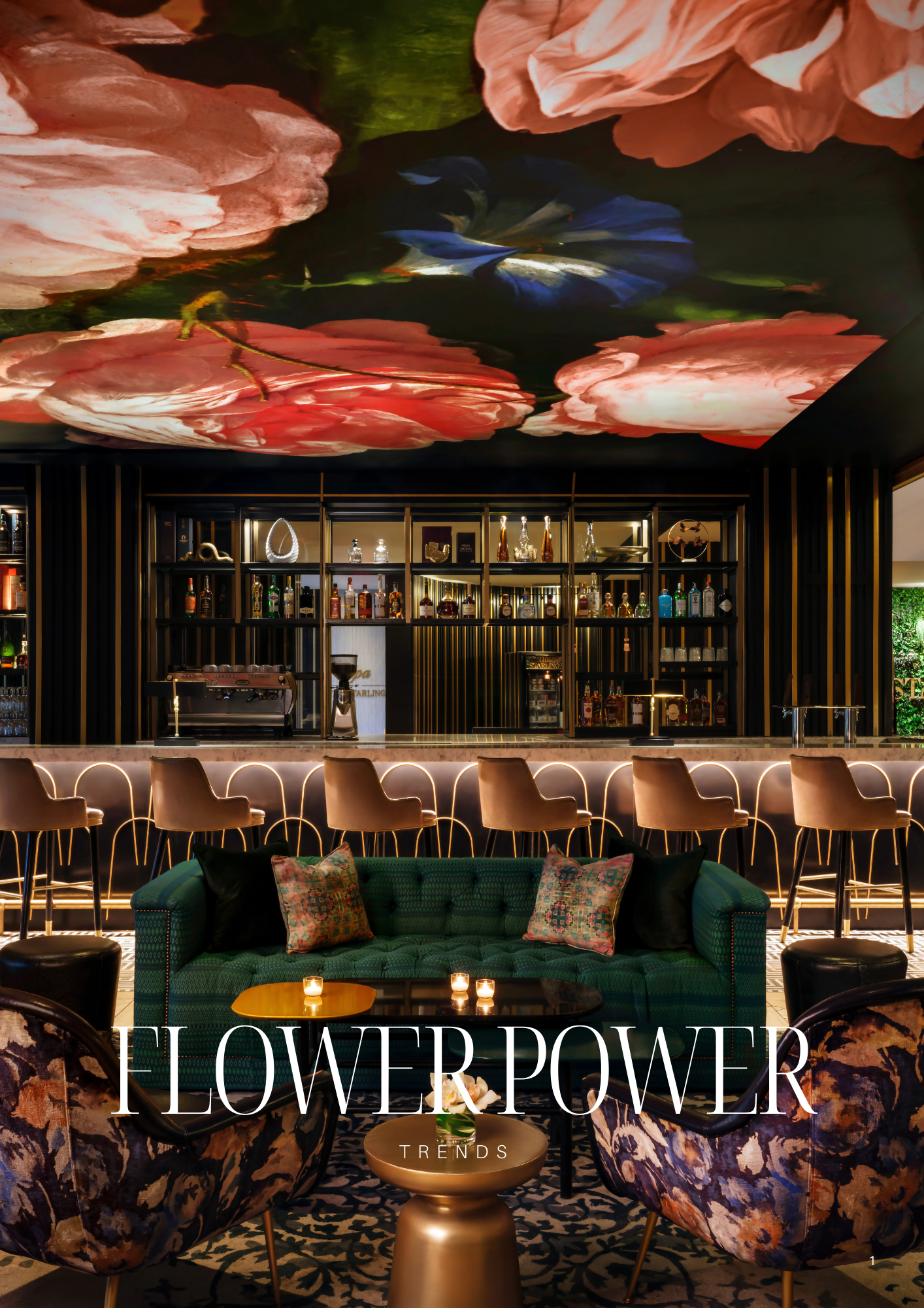 OLISE Magazine - Edition 5